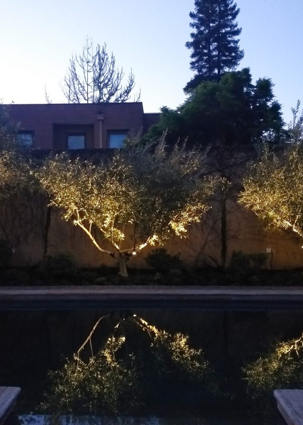 TERE-BARAONA-2Valesca-Bicicleta-B-N-2021