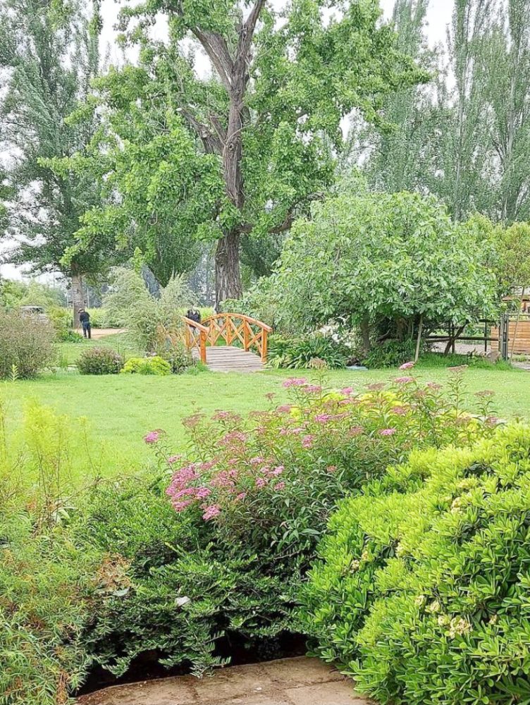 VIVERO-FLORIDA-DEL-ALTO-3