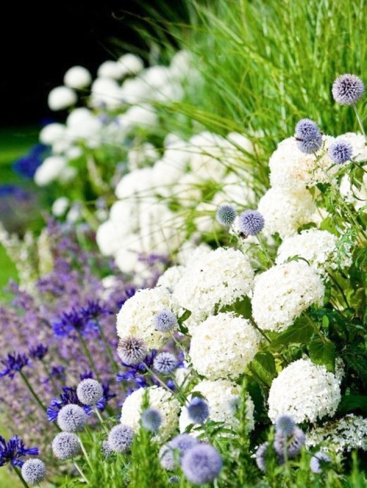 VIVEROS-LA-CANDELARIA-3