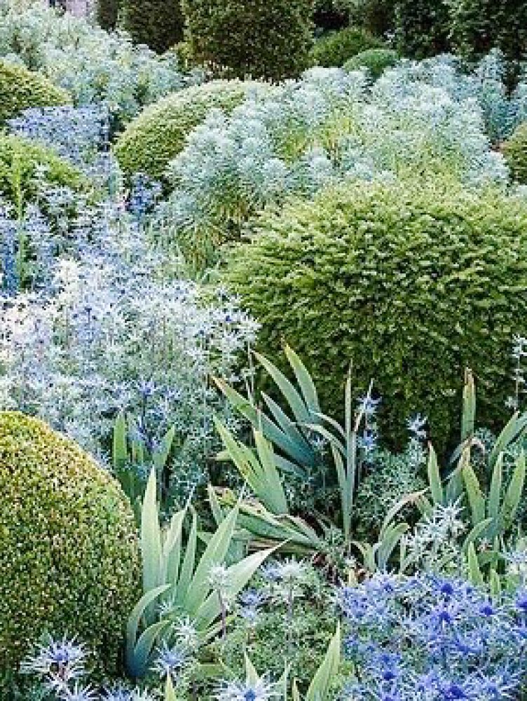 VIVEROS-LA-CANDELARIA-5