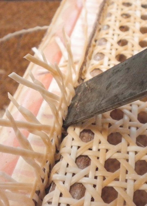 enjuncado oficio maritza the little black guide