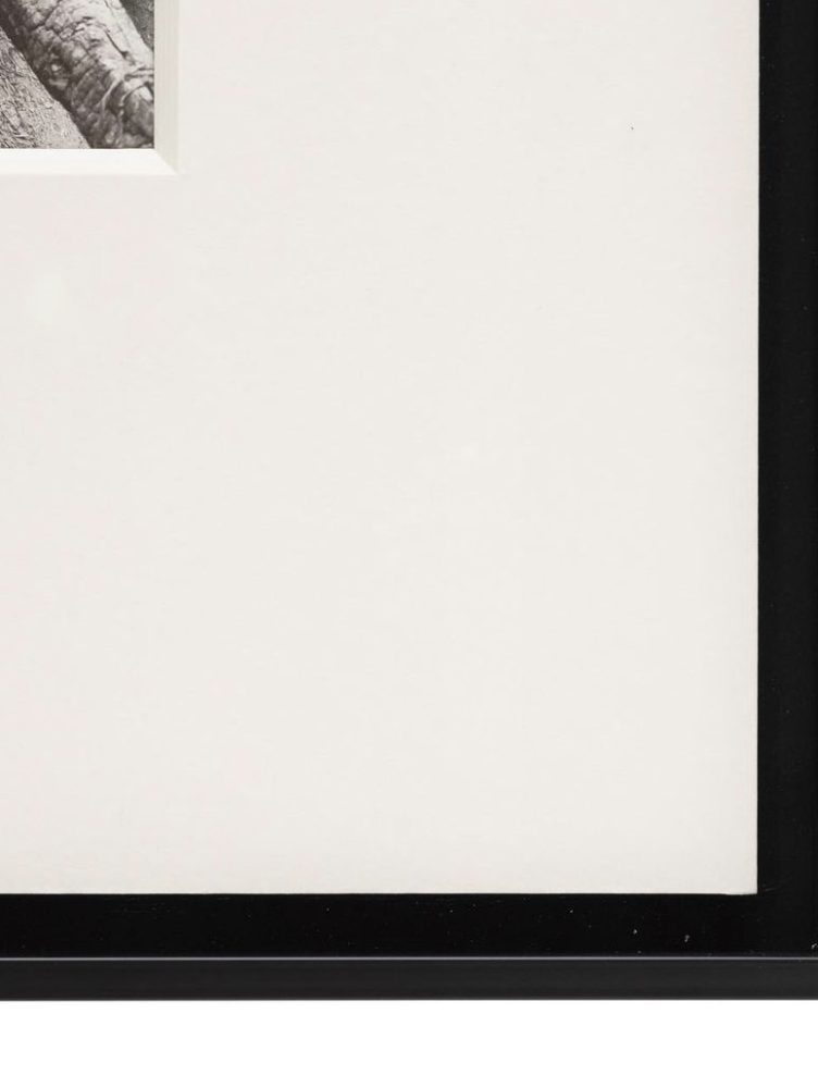 enmarcaciones-amazonas-directorio-5