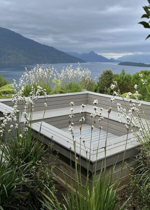 flora-paisajismo-2-directorio-thel-ittle-black-guide